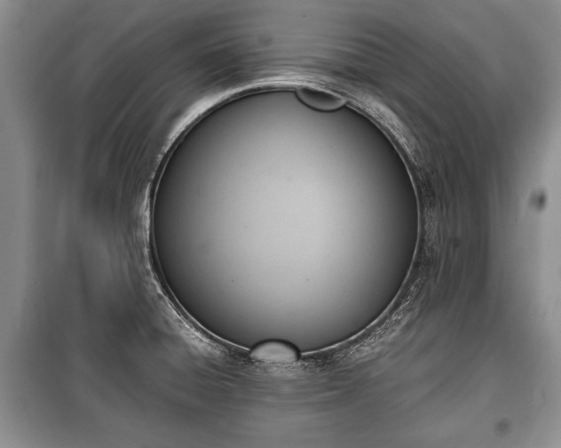 X0000100771428200806261532
