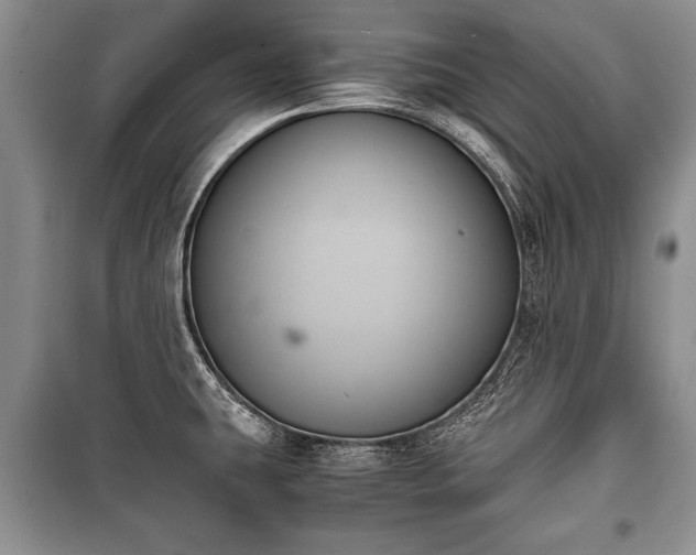 X0000100771431200806261532