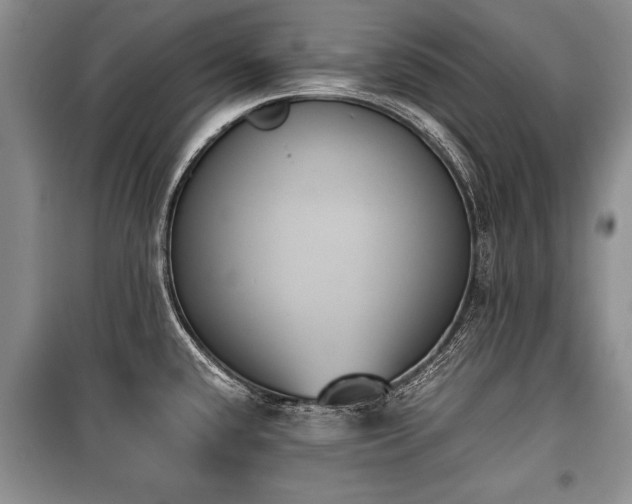X0000100771432200806261532