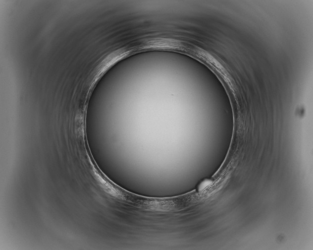 X0000100771433200806261533