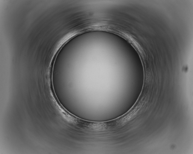 X0000100771434200806261533