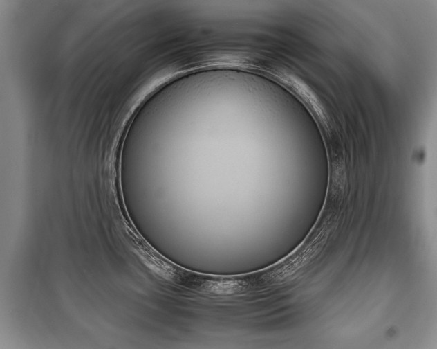 X0000100771435200806261533