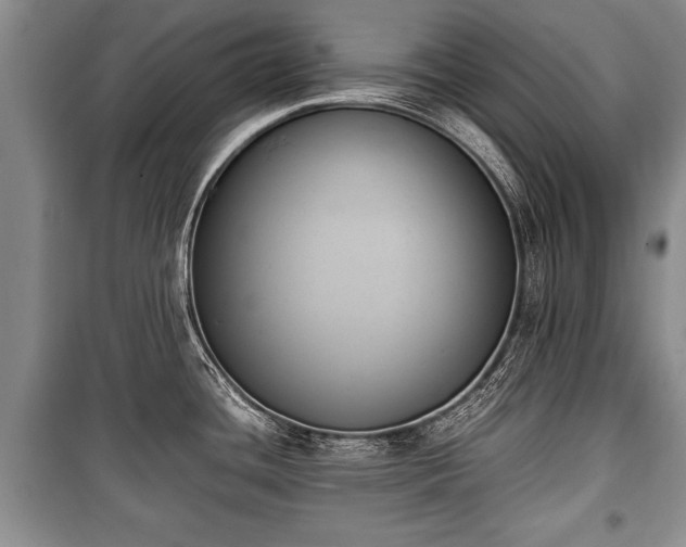 X0000100771436200806261533