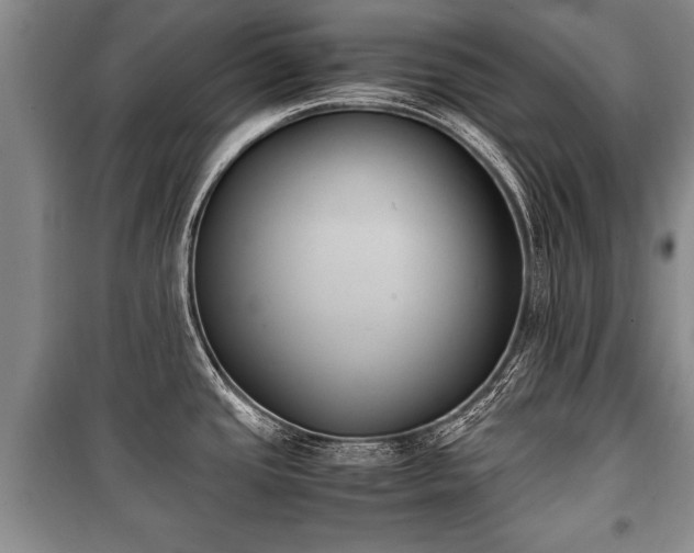 X0000100771437200806261533