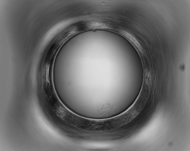 X0000100771439200806261533
