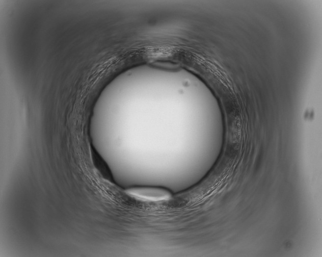 X0000100771441200806261532