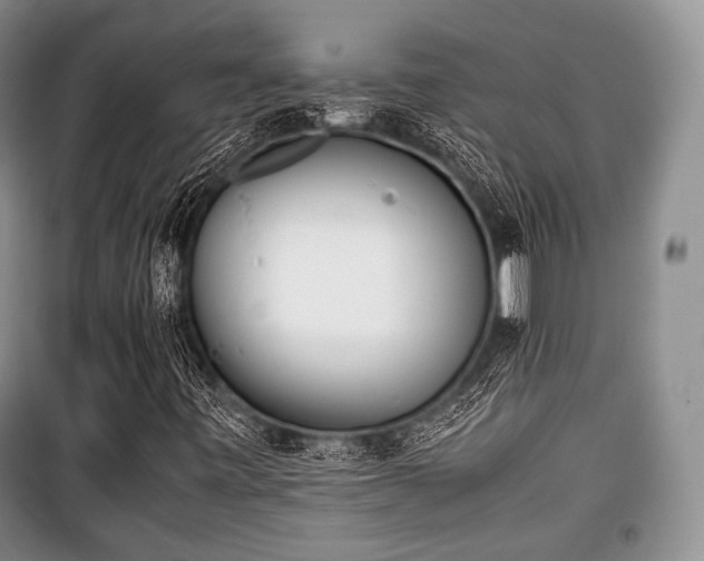 X0000100771443200806261532