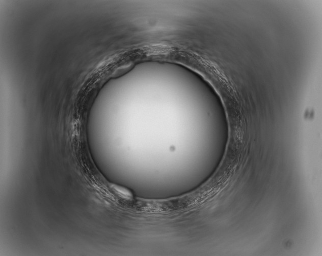 X0000100771445200806261532