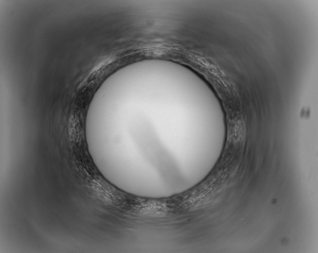 X0000100771446200806261532