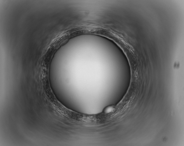 X0000100771447200806261532