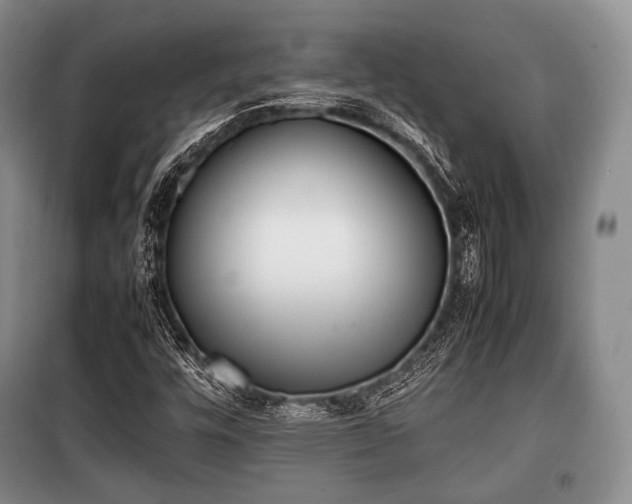X0000100771448200806261532