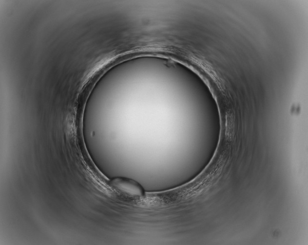 X0000100771452200806261532