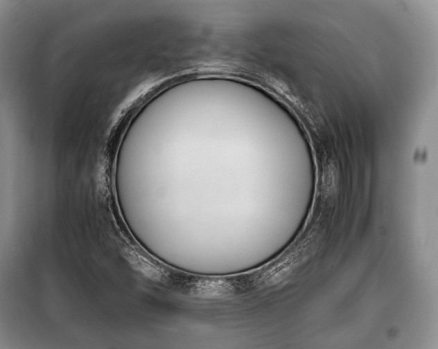 X0000100771454200806261532