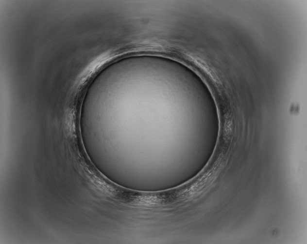 X0000100771455200806261532
