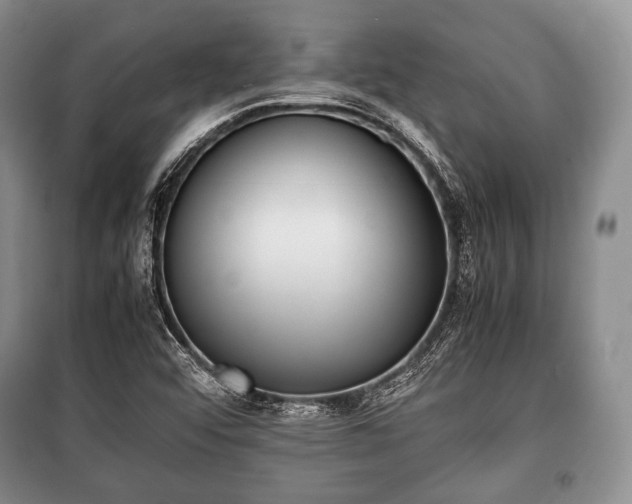 X0000100771456200806261532