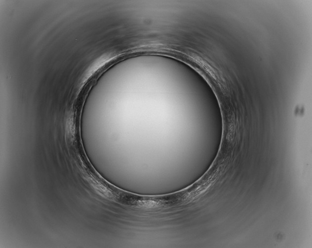 X0000100771458200806261532