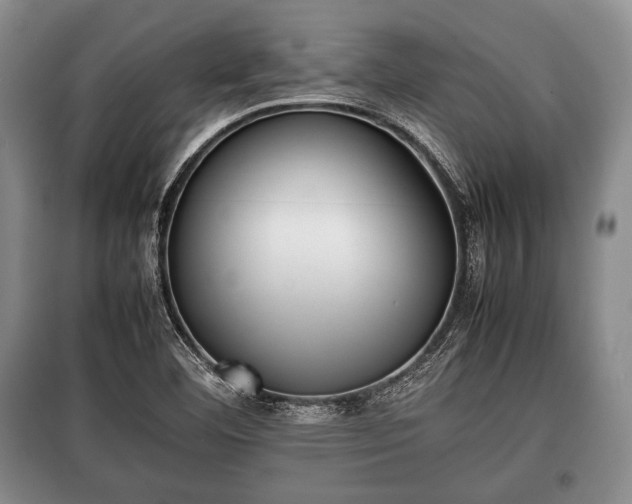 X0000100771460200806261531