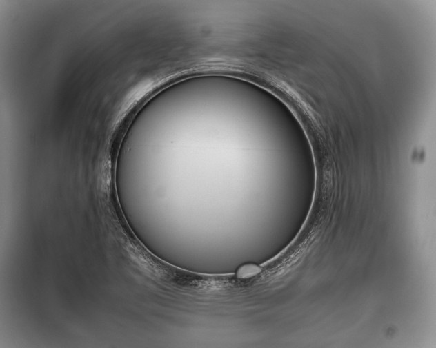 X0000100771461200806261531