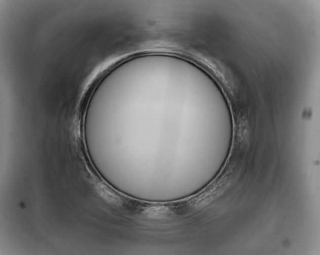 X0000100771462200806261531