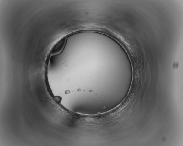 X0000100771463200806261531