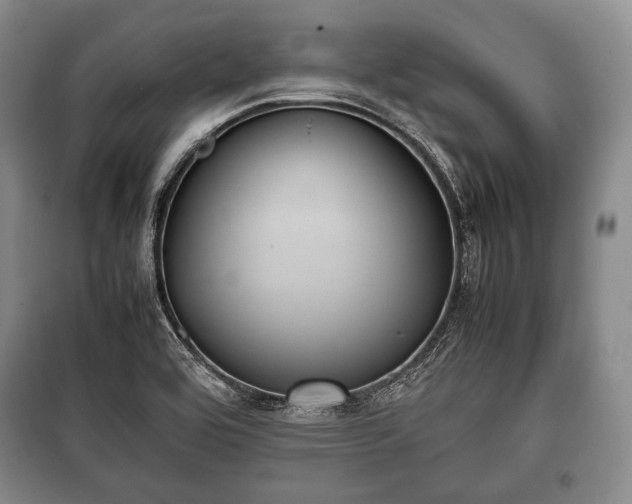 X0000100771464200806261531
