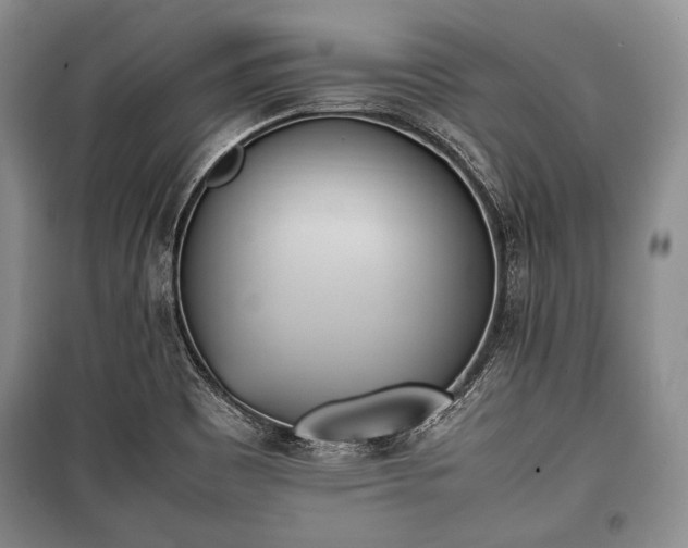 X0000100771465200806261531