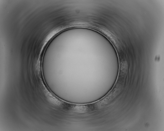 X0000100771466200806261531