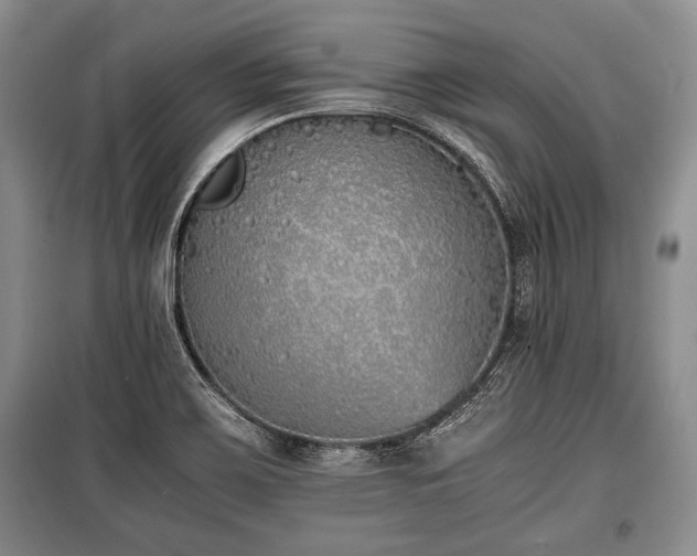 X0000100771467200806261531
