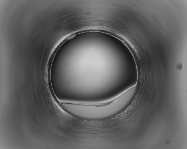 X0000100771468200806261531