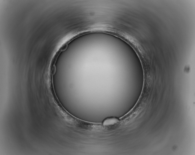 X0000100771469200806261531