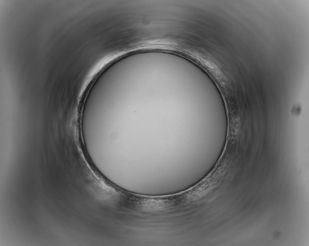 X0000100771470200806261531
