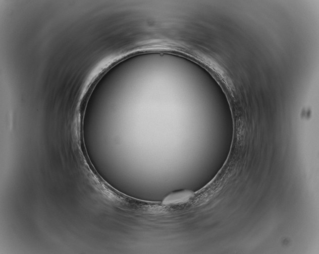 X0000100771472200806261531