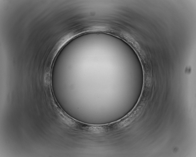 X0000100771473200806261531