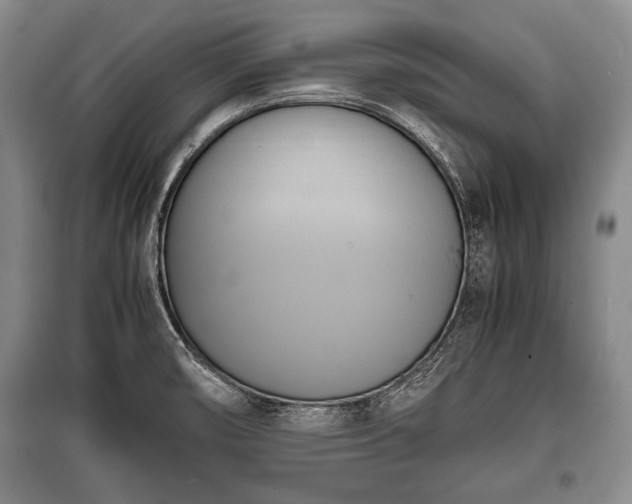 X0000100771474200806261531