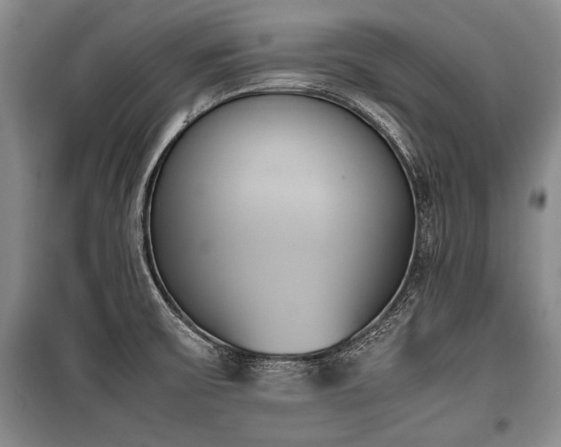 X0000100771475200806261531