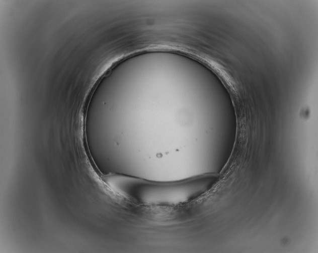 X0000100771476200806261531