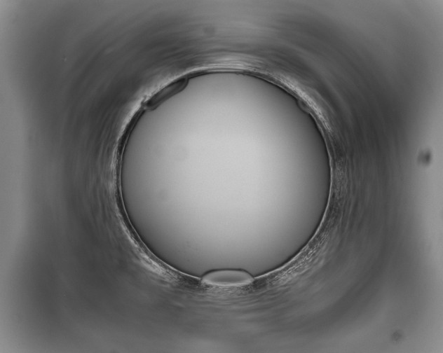X0000100771477200806261531