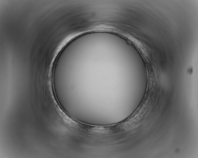X0000100771478200806261531