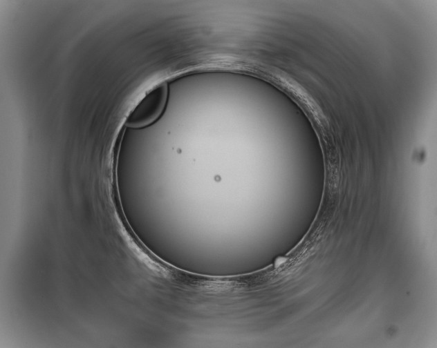 X0000100771479200806261531