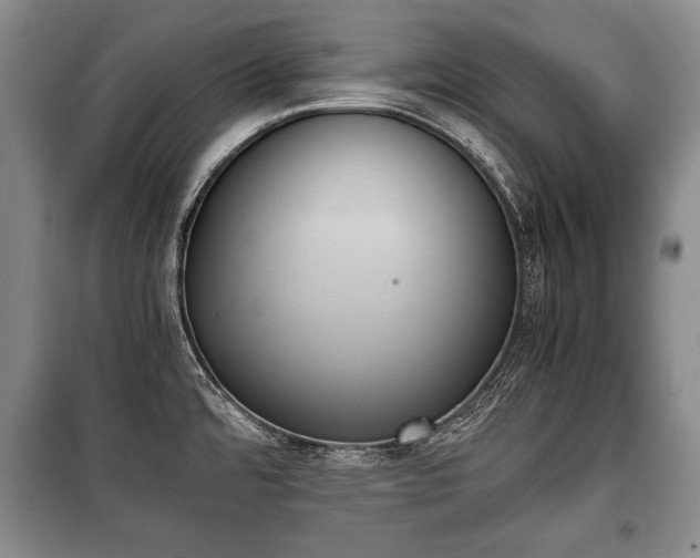 X0000100771480200806261531