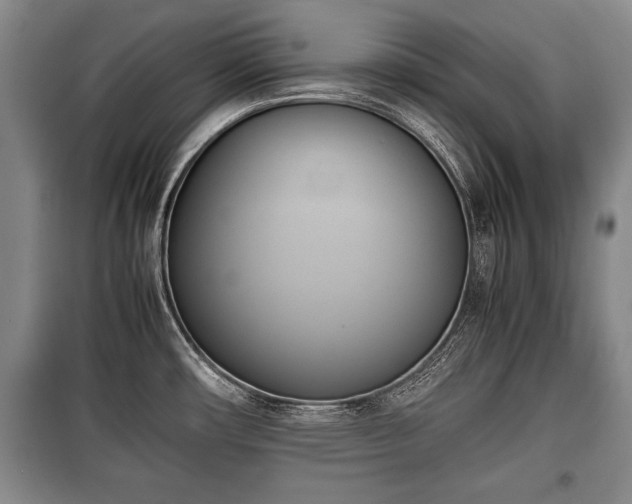 X0000100771482200806261531
