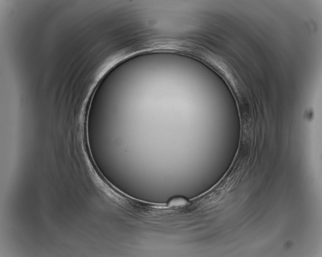 X0000100771483200806261531