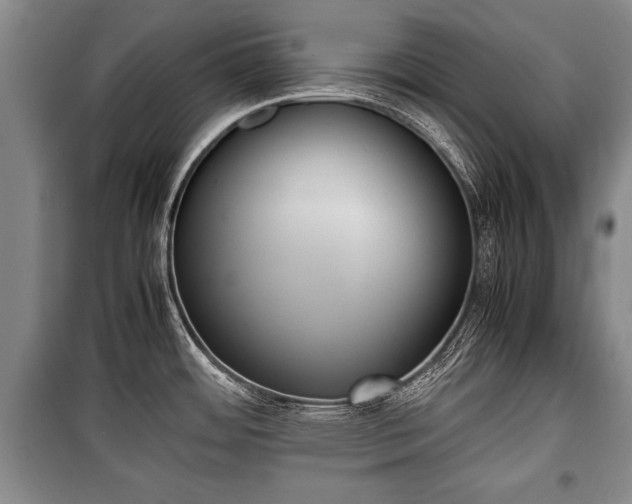 X0000100771484200806261531