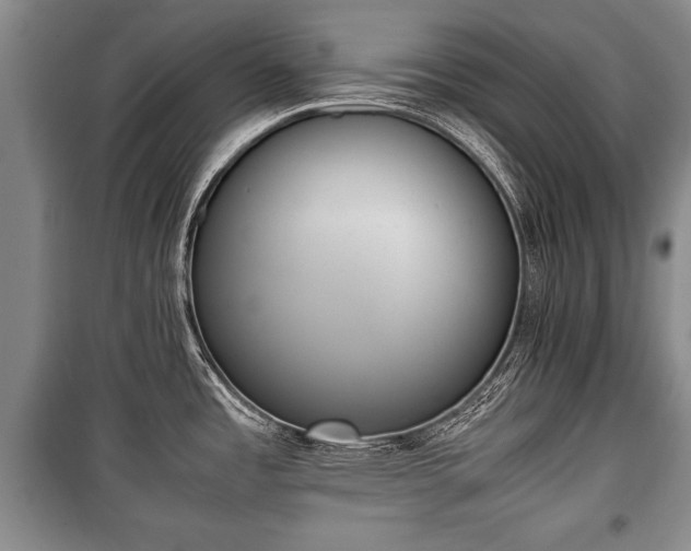 X0000100771485200806261531