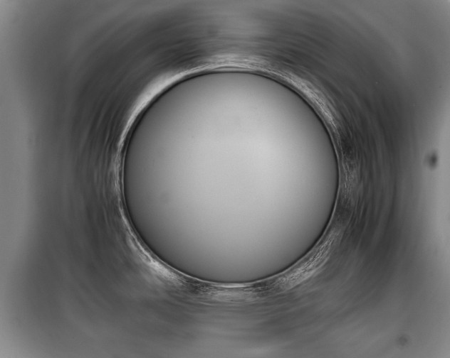 X0000100771486200806261531