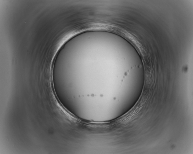 X0000100771487200806261531