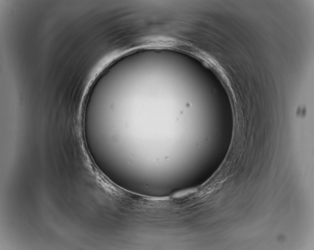X0000100771488200806261531