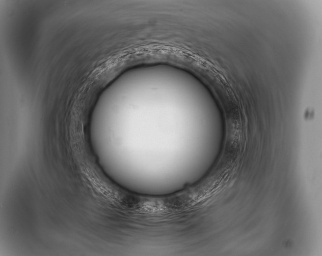 X0000100771489200806261530