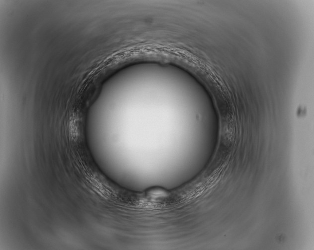 X0000100771490200806261530