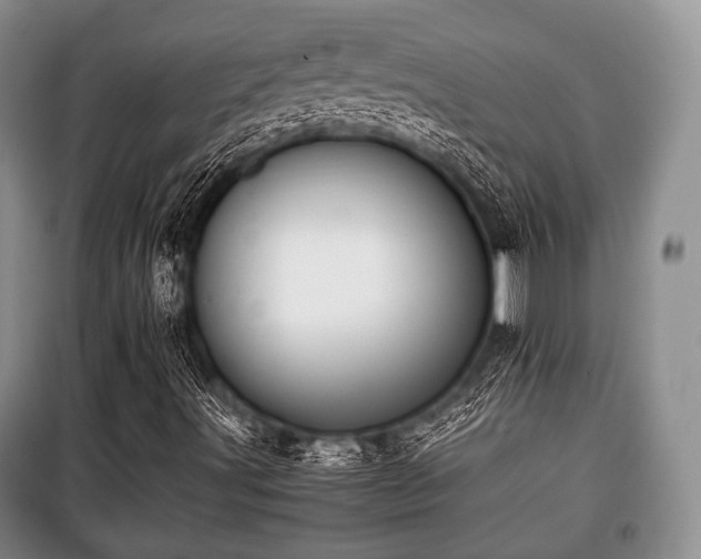 X0000100771491200806261530